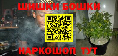 a pvp Кингисепп