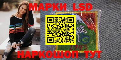 a pvp Кингисепп