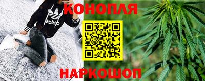 a pvp Кингисепп