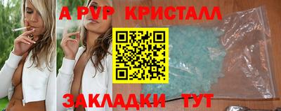 a pvp Кингисепп