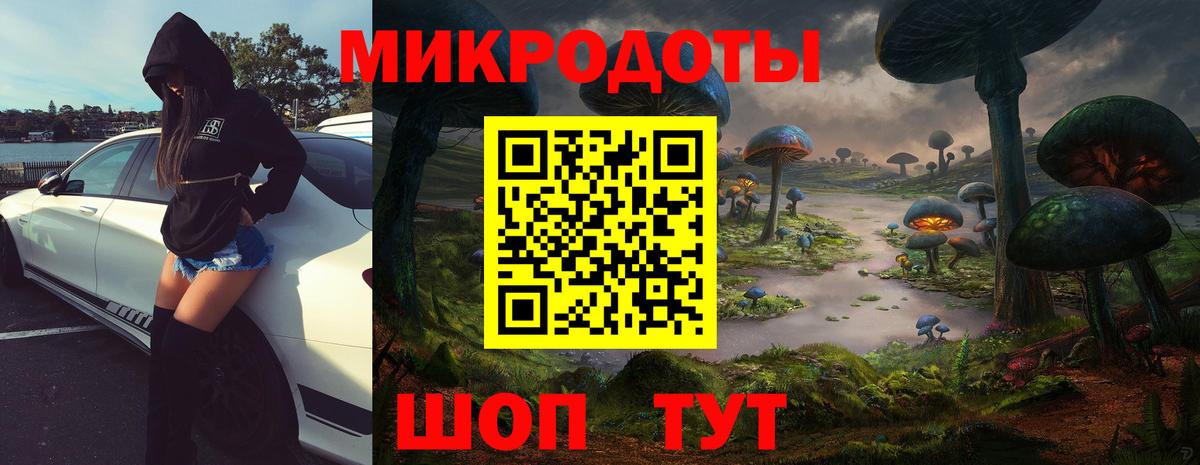Галлюциногенные грибы Magic Shrooms Котлас